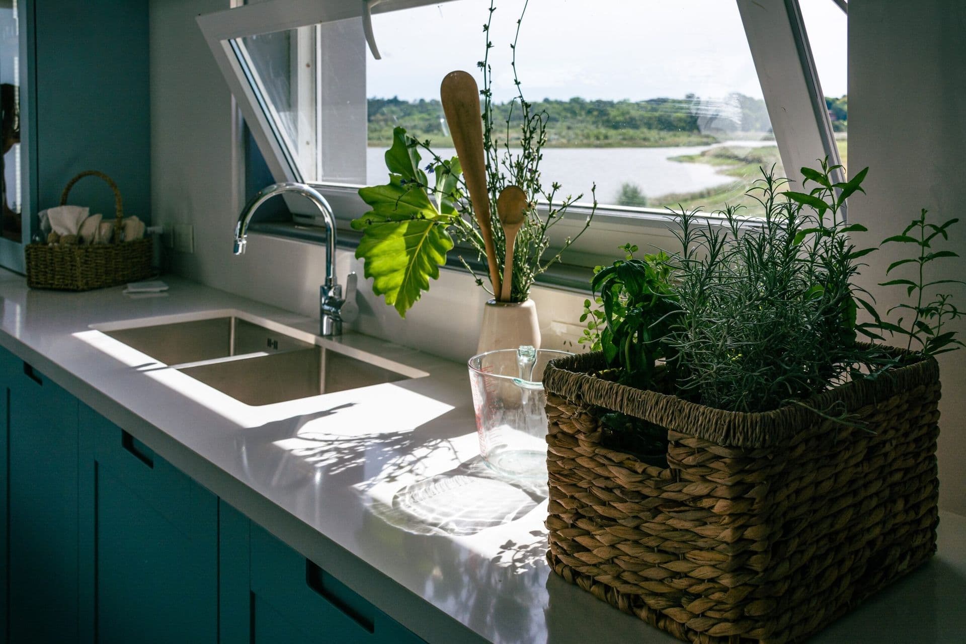 modern blue plant kitchen